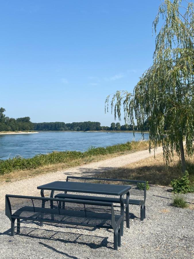 Ferienhaus Hoffmann Am Rheinbogen Altlussheim المظهر الخارجي الصورة